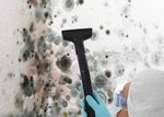Vermarktung von Biozidprodukten - &Uuml;bersicht zu rechtlichen Grundlagen - WKO