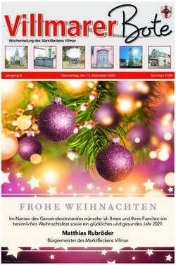 Villmarer Bote - Marktflecken Villmar