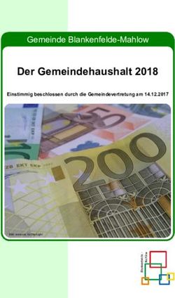 Der Gemeindehaushalt 2018 - Gemeinde Blankenfelde-Mahlow Einstimmig beschlossen durch die Gemeindevertretung am 14.12.2017