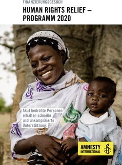 HUMAN RIGHTS RELIEF - PROGRAMM 2020 - FINANZIERUNGSGESUCH - Akut bedrohte Personen erhalten schnelle und unkomplizierte Unterstützung - Amnesty ...