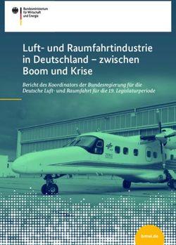 Luft- und Raumfahrtindustrie in Deutschland - zwischen Boom und Krise - Bericht des Koordinators der Bundesregierung für die Deutsche Luft- und ...