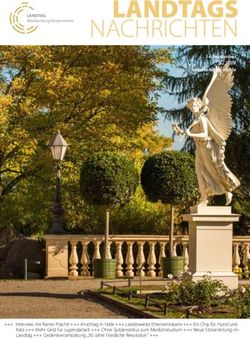 LANDTAGS NACHRICHTEN - Landtag MV