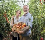 Marktblatt - Frühlingsfl oristik Farbintensiv und leicht - Blumengroßmarkt Karlsruhe