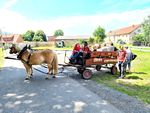 &Uuml;ber den Kirchturm hinaus - Kirchennachrichten f&uuml;r die Pfarrbereiche Bleicherode & Niedergebra - *Schulanfang*Pilgern*Tag des offenen Denkmals* ...