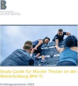 Study Guide f&uuml;r Master Thesen an der Weiterbildung BFH-TI - Fr&uuml;hlingssemester 2022