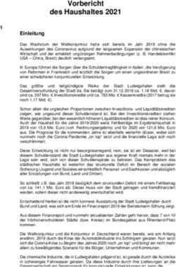 Vorbericht des Haushaltes 2021 - Stadt Ludwigshafen