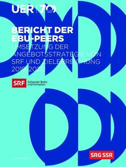 BERICHT DER EBU-PEERS - UMSETZUNG DER ANGEBOTSSTRATEGIE VON SRF UND ZIELERREICHUNG 2019-2020 - SRG SSR