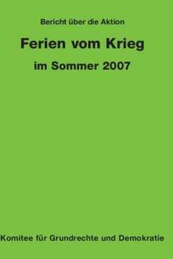 Ferien vom Krieg im Sommer 2007 - Bericht &uuml;ber die Aktion - Komitee f&uuml;r Grundrechte und Demokratie