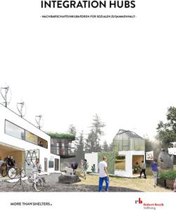 INTEGRATION HUBS - NACHBARSCHAFTSINKUBATOREN F&Uuml;R SOZIALEN ZUSAMMENHALT - Robert Bosch Stiftung