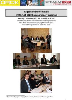 Ergebnisdokumentation STRAT.AT 2020 Fokusgruppe Tourismus