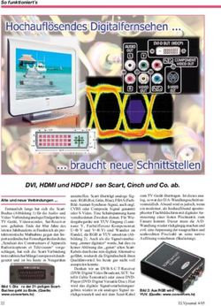 DVI, HDMI und HDCP l&ouml;sen Scart, Cinch und Co. ab.