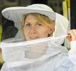 Rätselhafte Bienenwelt - Dossier - Imkerverein Bremen-Blumenthal