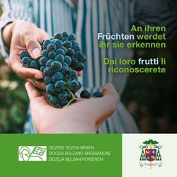 An ihren Früchten werdet ihr sie erkennen Dai loro frutti li riconoscerete - DIOZESE BOZEN-BRIXEN DIOCESI BOLZANO-BRESSANONE DIOZEJA BULSAN-PERSENON