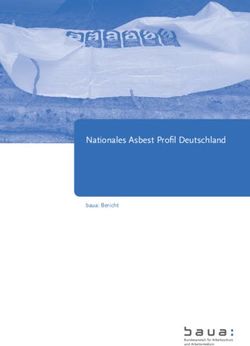 Nationales Asbest Profil Deutschland - baua: Bericht
