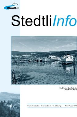 StedtliInfo - Die Erlacher Schiffsl&auml;ndte Foto Martin Kobel Informationsblatt der Gemeinde Erlach 33. Jahrgang