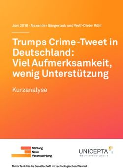 Trumps Crime-Tweet in Deutschland: Viel Aufmerksamkeit, wenig Unterstützung - Kurzanalyse - Stiftung Neue Verantwortung
