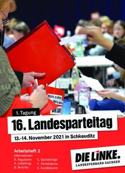 Landesparteitag 1. Tagung 13.-14. November 2021 in Schkeuditz - Arbeitsheft 2 - DIE LINKE. Sachsen