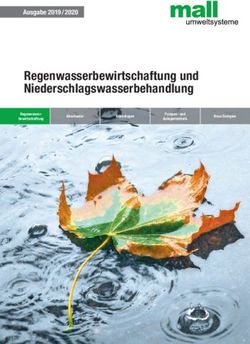Regenwasserbewirtschaftung und Niederschlagswasserbehandlung - Ausgabe 2019 / 2020 - Mall.info