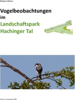 Vogelbeobachtungen im - Markus D&auml;hne