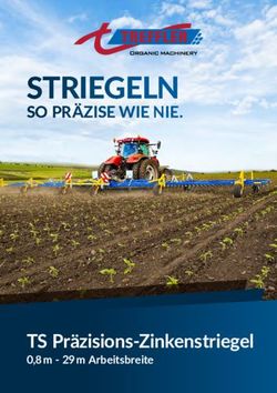 STRIEGELN SO PR&Auml;ZISE WIE NIE - TS Pr&auml;zisions-Zinkenstriegel - Treffler