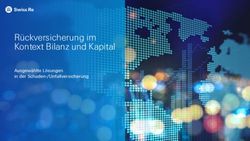R&uuml;ckversicherung im Kontext Bilanz und Kapital - Ausgew&auml;hlte L&ouml;sungen in der Schaden-/Unfallversicherung - Swiss Re
