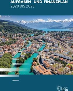AUFGABEN- UND FINANZPLAN 2020 BIS 2023 - Stadt Thun