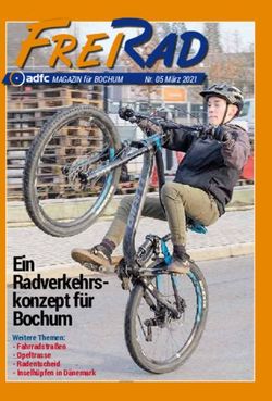 Ein Radverkehrs-konzept f&uuml;r Bochum - Weitere Themen: Fahrradstra&szlig;en - Opeltrasse - Radentscheid - Inselh&uuml;pfen in D&auml;nemark