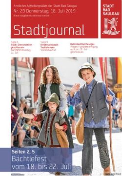 Stadtjournal - Stadt Bad Saulgau