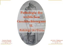 II. Pathologie der weiblichen Geschlechtsorgane - Pathologie des Uterus