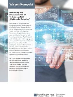 WISSEN KOMPAKT MONITORING VON FUE-AKTIVIT&Auml;TEN IM TECHNOLOGIEFELD "ELEKTRISCHE ANTRIEBE" - TRANSFORMATIONSWISSEN BW