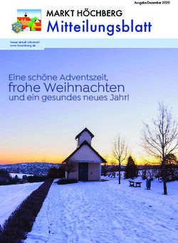 Mitteilungsblatt MARKT H&Ouml;CHBERG - frohe Weihnachten