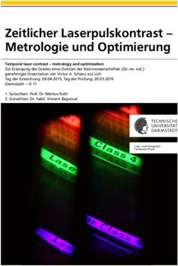 Zeitlicher Laserpulskontrast - Metrologie und Optimierung - TUprints