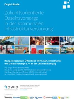 Zukun sorien erte Daseinsvorsorge in der kommunalen Infrastrukturversorgung