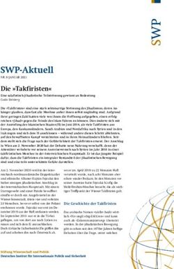 Die "Takfiristen" - Stiftung Wissenschaft und Politik