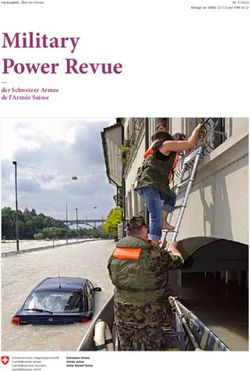 Military Power Revue der Schweizer Armee de l'Arm&eacute;e Suisse