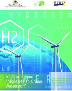 F&ouml;rderprogramm "Modellregion Gr&uuml;ner Wasserstoff" - Kurzfassung der Projektskizze des Wettbewerbsbeitrages der Wirtschaftsf&ouml;rderung Raum Heilbronn GmbH