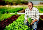 2019 Jeder der denkt, das Gartenjahr in Fr&uuml;hling beginnt und im Herbst endet, verpasst die beste Zeit des Jahres . die Gartenzeit beginnt im ...