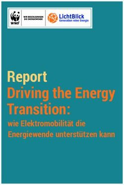 Report Driving the Energy Transition: wie Elektromobilität die Energiewende unterstützen kann - WWF Deutschland
