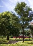 WOHNEN IM PARK I HAUS E I JAKOMINI VERDE - BROSCH&Uuml;RE EINER ERTRAGSIMMOBILIE