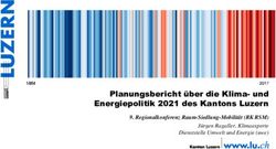 Planungsbericht &uuml;ber die Klima- und Energiepolitik 2021 des Kantons Luzern - Regionalkonferenz Raum-Siedlung-Mobilit&auml;t (RK RSM)