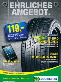 30-EURO-TANKGUTSCHEIN - BEIM KAUF VON 4 MICHELIN SOMMERREIFEN. UNSER WERKSTATTSERVICE