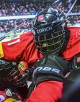 Gesch&auml;ftsbericht Saison 2014/15 - Swiss Ice Hockey Federation