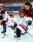 Gesch&auml;ftsbericht Saison 2014/15 - Swiss Ice Hockey Federation