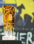 Gesch&auml;ftsbericht Saison 2014/15 - Swiss Ice Hockey Federation