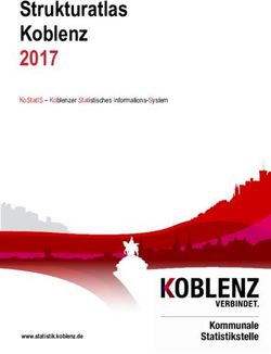STRUKTURATLAS KOBLENZ 2017 - KOSTATIS - KOBLENZER STATISTISCHES INFORMATIONS-SYSTEM - STADT KOBLENZ