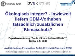 &Ouml;kologisch integer? - Inwieweit liefern CDM-Vorhaben tats&auml;chlich zus&auml;tzlichen