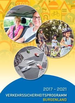 2017 2021 Verkehrssicherheitsprogramm Burgenland