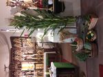 Katholische Pfarrei Heilige Familie Untertaunus - November 2021 Gottesdienstordnung - Informationen