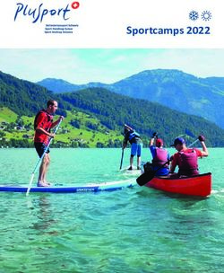 SPORTCAMPS 2022 - PLUSPORT