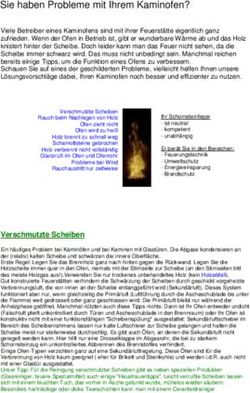 Sie haben Probleme mit Ihrem Kaminofen?